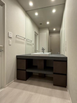 Brillia ist 東雲キャナルコート>洗面所