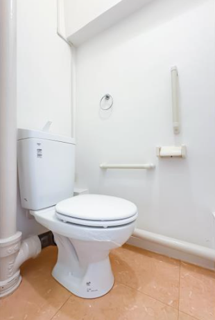 新豊里団地＞トイレ