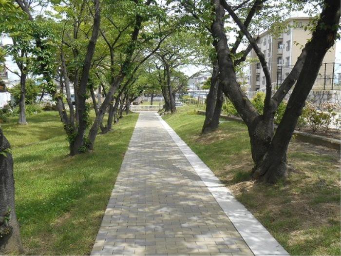 向ヶ丘第2団地>敷地内