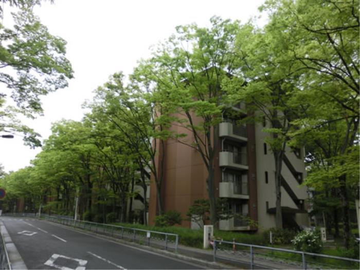 花園団地＞敷地内２