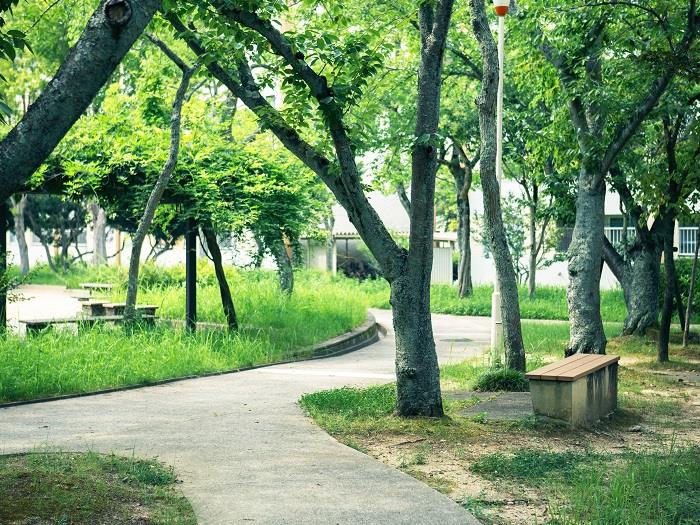 平城第2団地>敷地内①