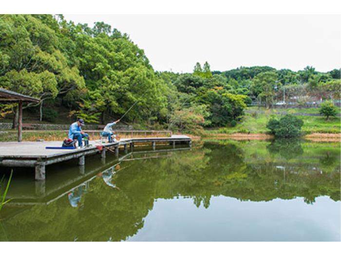 小松池でヘラブナが放流されており、釣り掘を楽しめます