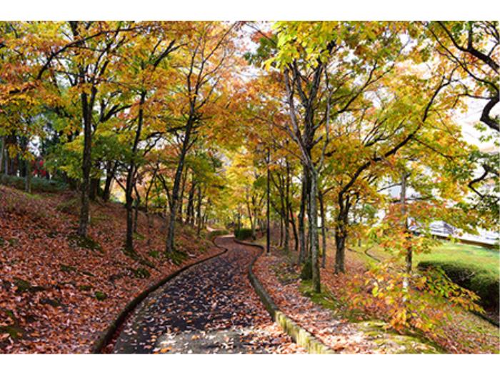 花山東＞敷地内の木々もきれいに紅葉しています